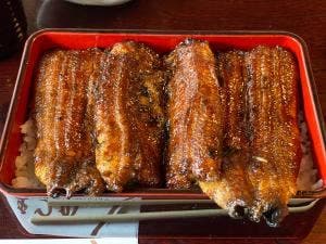 うなぎのまつ嘉