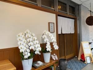 こ乃はた