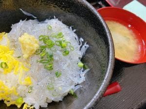江の島 ハルミ