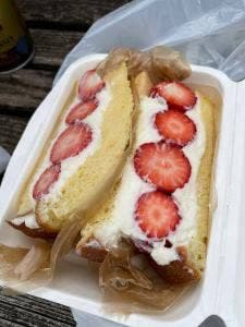 ハナサクプラス