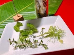 白いカレープラウド福岡