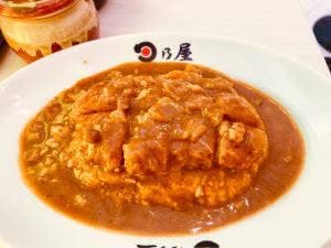 日乃屋カレー 南越谷店