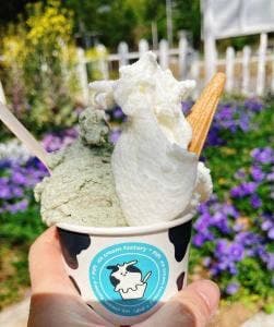icecreamfactory PiPi
