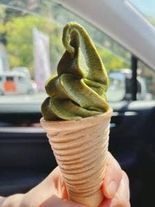 茶の葉堂
