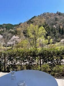 古今伝授の里 カフェ よぶこどり