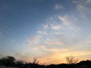 すき家 成田東店