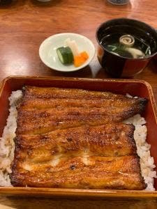 魚政