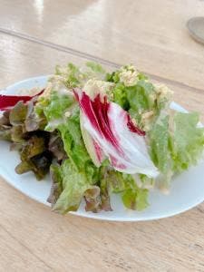 SINCERE GARDEN CAFE
