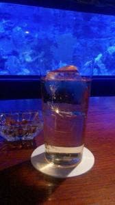 Shot Bar aquarium