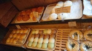 ドウゴノパンヤRIZ