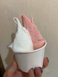 つくりたて生アイスの店 Het's