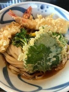 讃岐うどん 花もと