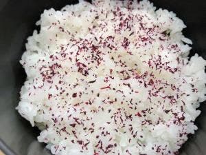 お食事処 たつ乃