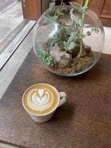 Saladday COFFEE