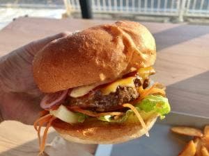 THE FANTASTIC BURGER