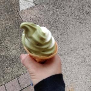 おづつみ園 春日部西口ふじ通り店