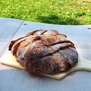 Bakery MIDMOST