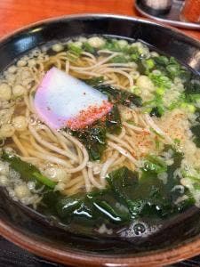 更科