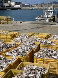 牡蠣小屋 龍王丸水産