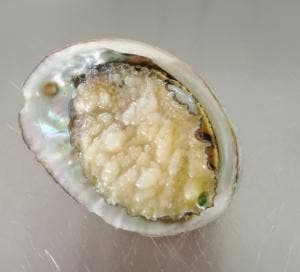 海鮮鉄板焼 海蛍