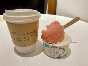 GELATO & BAKE SANTi