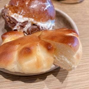 TRASPARENTE -TORITSUDAIGAKU-