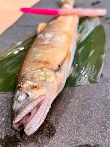 旬彩 くま蔵 永福町