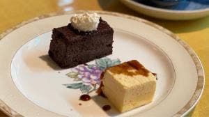 白扇