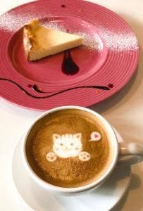 C2 cafe