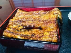 うなぎ味処なごみ