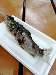 華厳の滝 つみっこ