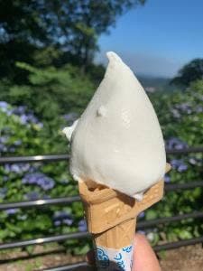 手作りアイスの加藤牧場