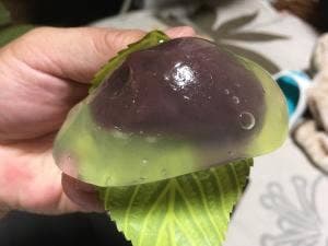 かのう