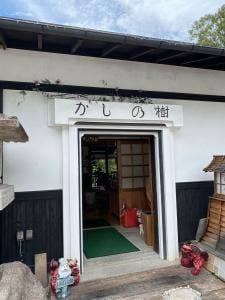 かしの樹