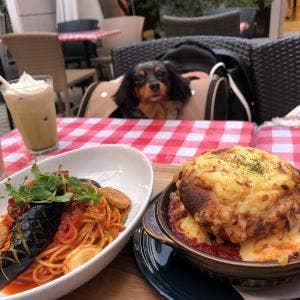 サクラカフェ＆レストラン日暮里