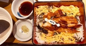 やよい軒 岩槻南平野店