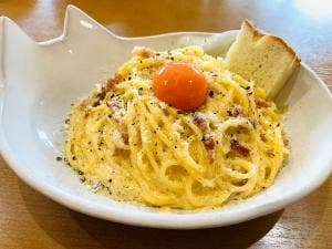 イタリア食堂 Gatto bianco