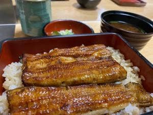 うなぎ 浜松屋