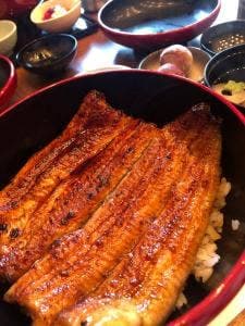 神田きくかわ 御殿場店