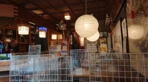 竹寿し