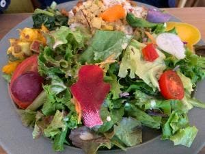 cafe&market くまと文鳥