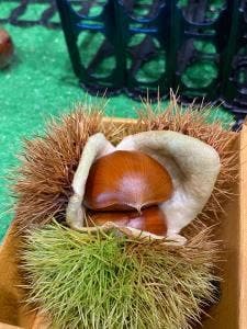 道の駅ヘルシーテラス佐久南 軽食コーナー 恋花カフェ