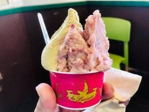 ダ ルチアーノ堀之内本店