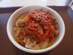 すき家 岡山野田店