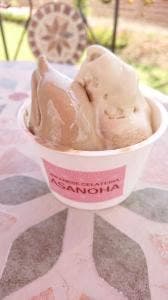 JAPANESE GELATERIA ASANOHA