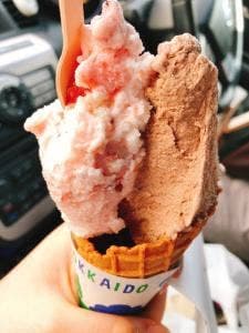 ジェラート札幌 果林樹