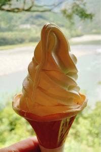 高知アイス売店