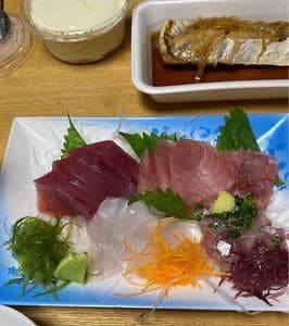 魚辰