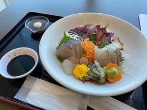 漁協レストラン 道の駅 天草市イルカセンター