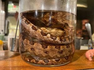 新宿ホルモン
